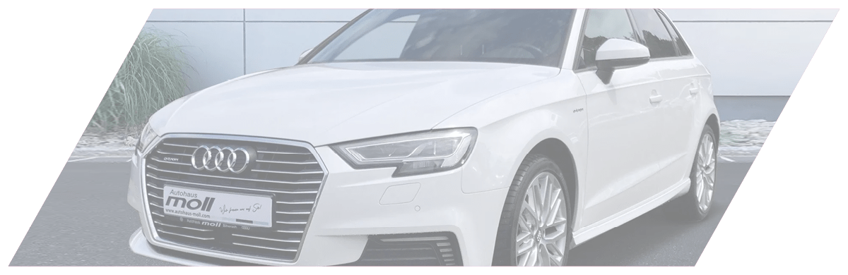 Audi Modelle